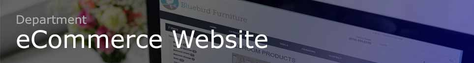 eCommerce Website for Furniture Store